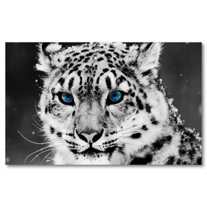 Αφίσα (χιόνι, λεοπάρδαλη, ζώο, μαύρο, λευκό, άσπρο)